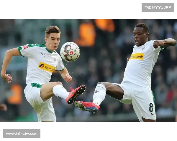 霍芬海姆vs弗赖堡，黑马球队的战术演变